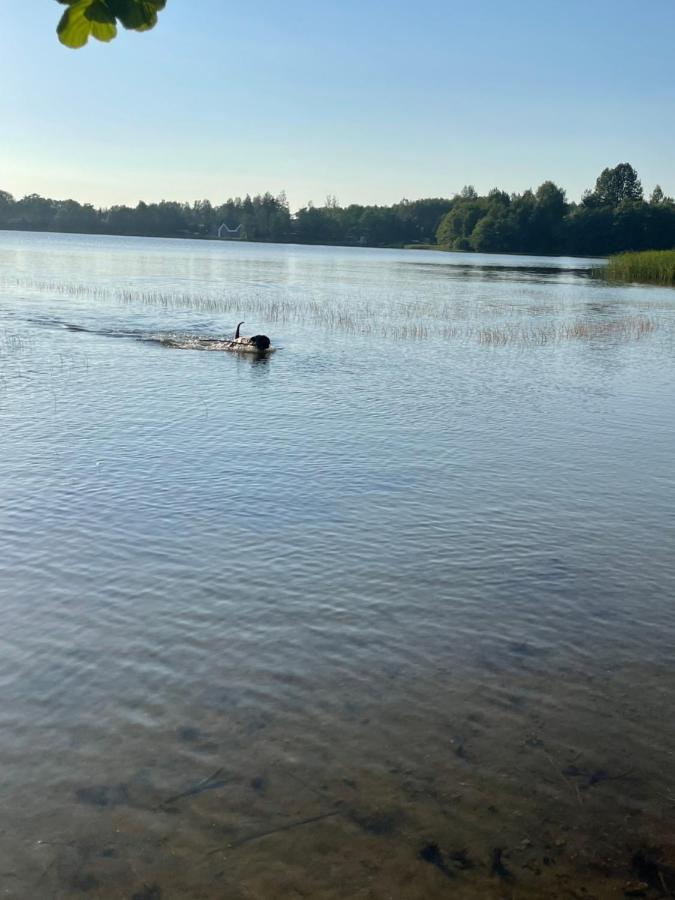 Woodhouse Resort Dobrogoszcz エクステリア 写真